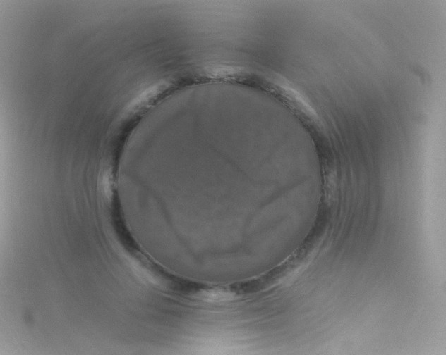 X0000115060644200911231216