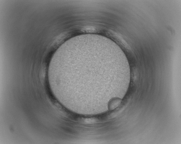 X0000115060645200911231216