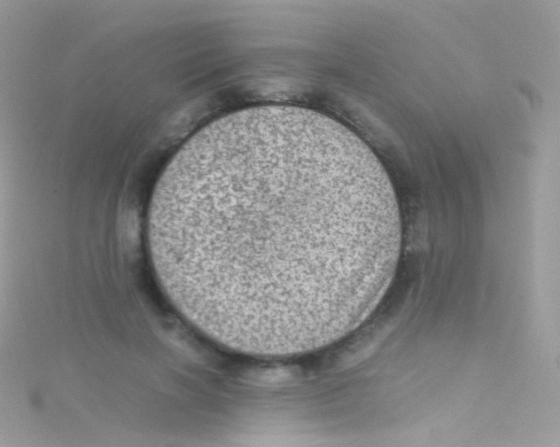 X0000115060646200911231216