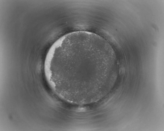 X0000115060647200911231216