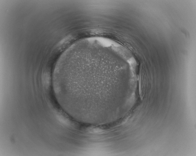 X0000115060648200911231216