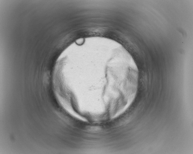 X0000115060649200911231216