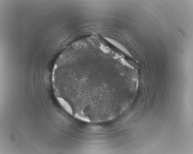 X0000115060650200911231216