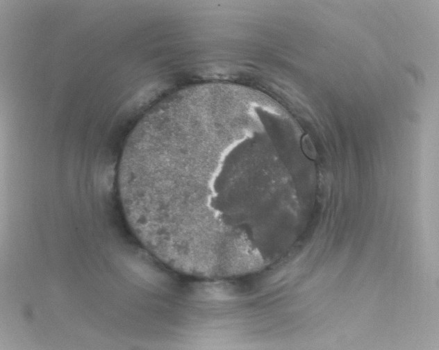 X0000115060652200911231216