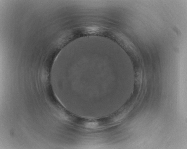 X0000115060653200911231216