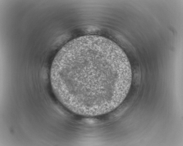 X0000115060654200911231216