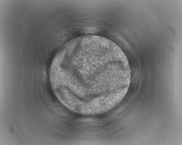 X0000115060655200911231216