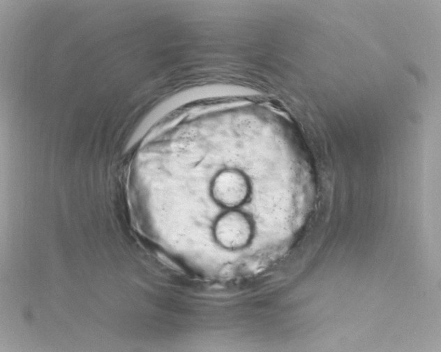 X0000115060657200911231216