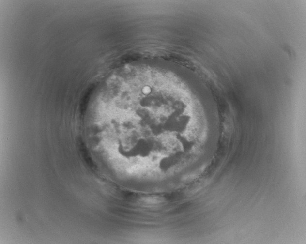 X0000115060659200911231216