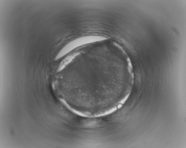 X0000115060661200911231216