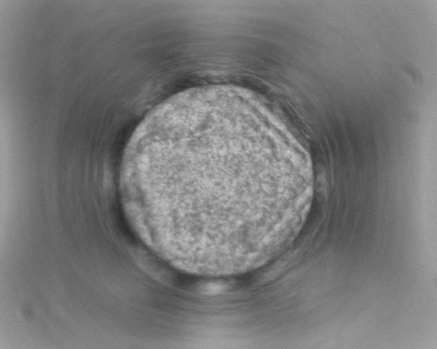 X0000115060662200911231216