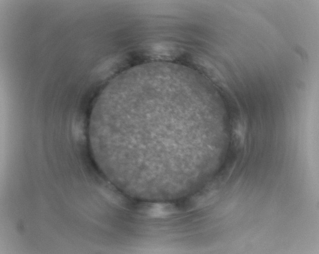 X0000115060663200911231216