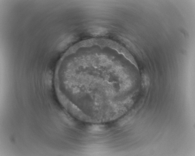 X0000115060664200911231216