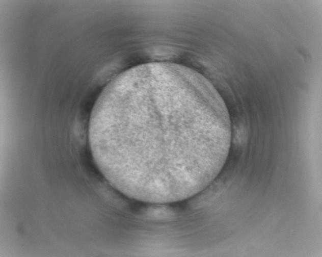 X0000115060666200911231216