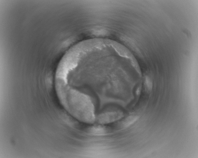 X0000115060668200911231216