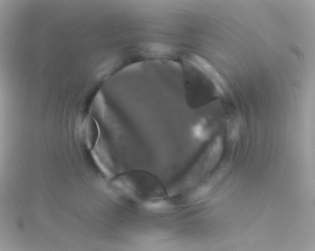 X0000115060669200911231216