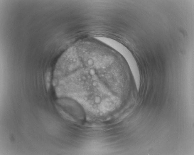 X0000115060670200911231216