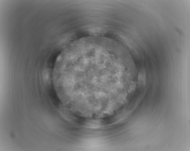 X0000115060671200911231216