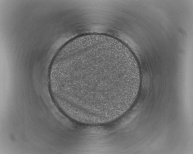 X0000115060673200911231215