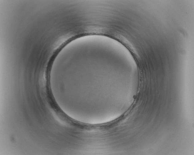 X0000115060674200911231215