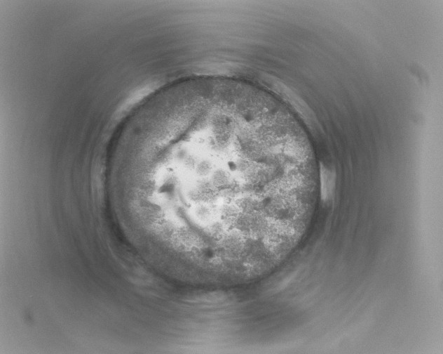 X0000115060675200911231215