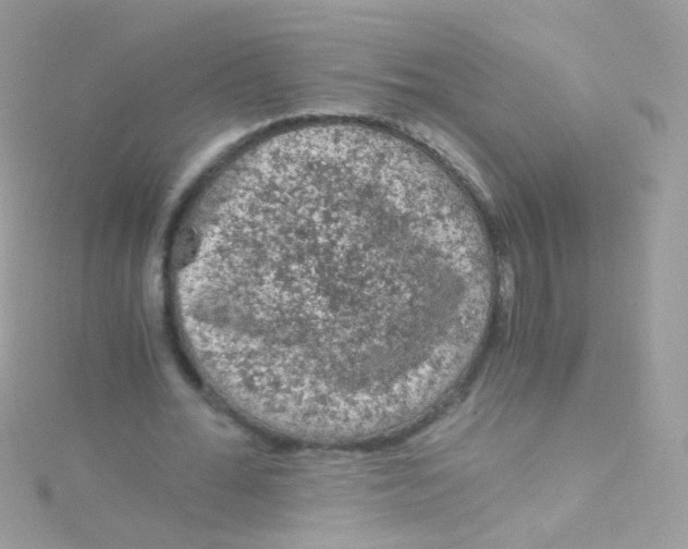 X0000115060676200911231215