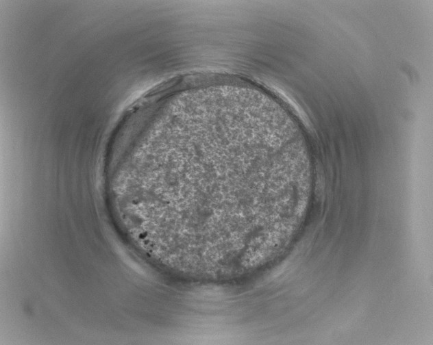 X0000115060677200911231215