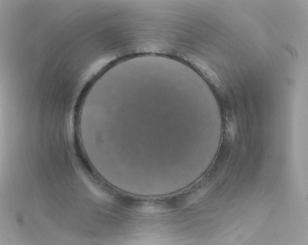 X0000115060678200911231215