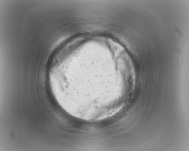 X0000115060679200911231215