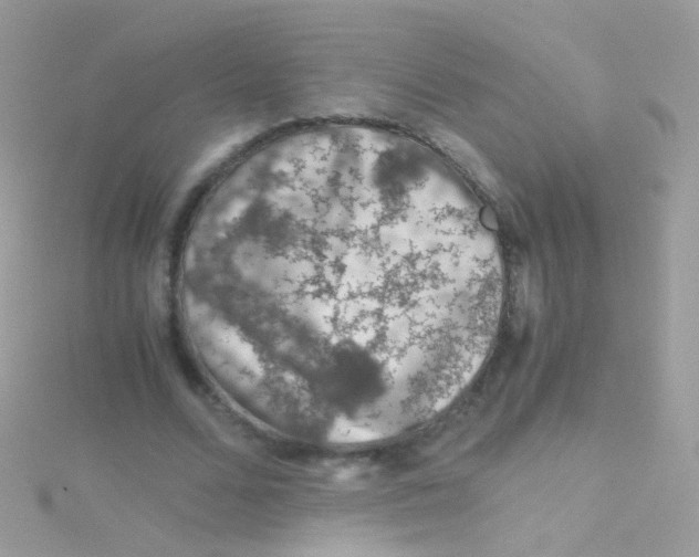 X0000115060680200911231215