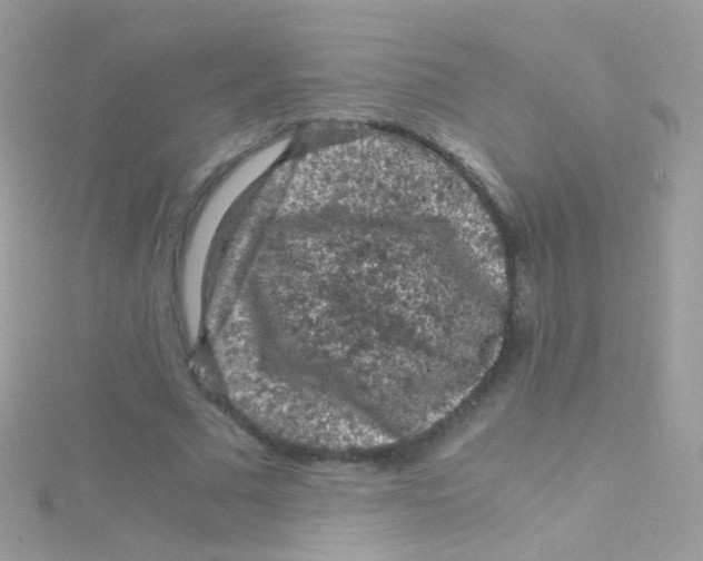 X0000115060681200911231215