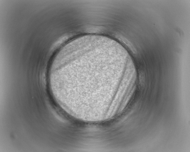 X0000115060682200911231215