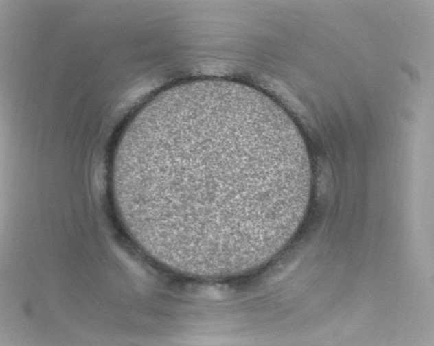 X0000115060683200911231215