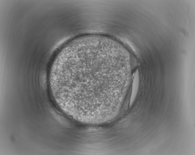 X0000115060684200911231215