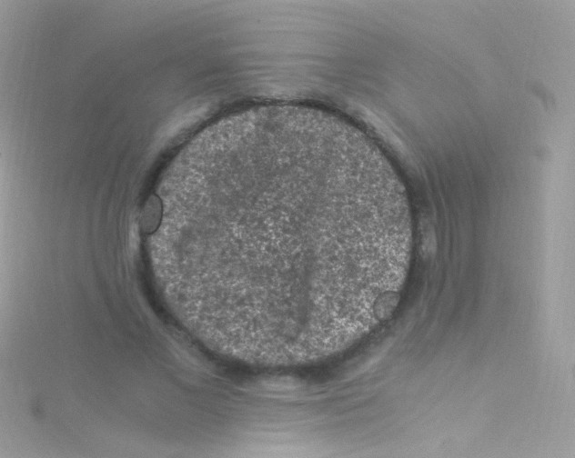 X0000115060685200911231215