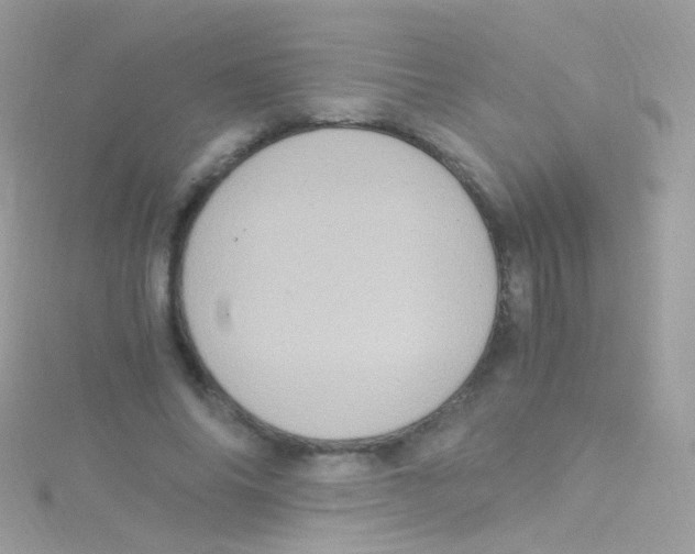 X0000115060686200911231215