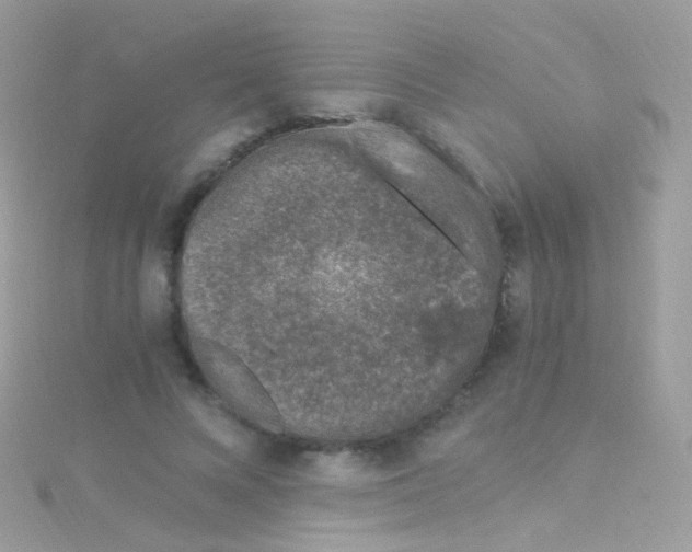 X0000115060688200911231215