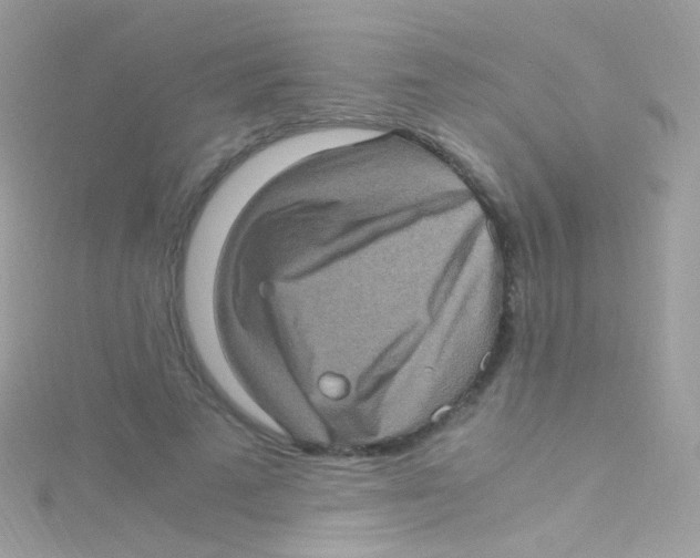 X0000115060689200911231215