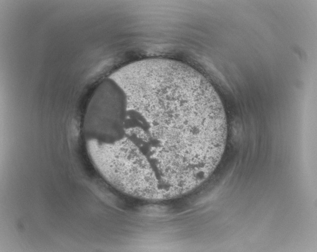 X0000115060691200911231215