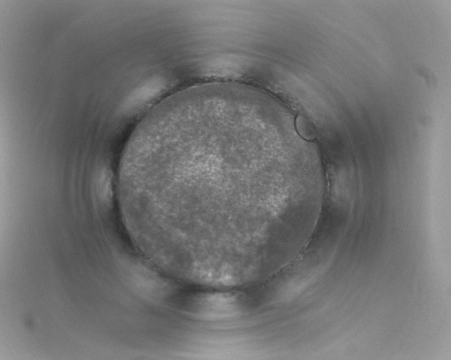 X0000115060692200911231215