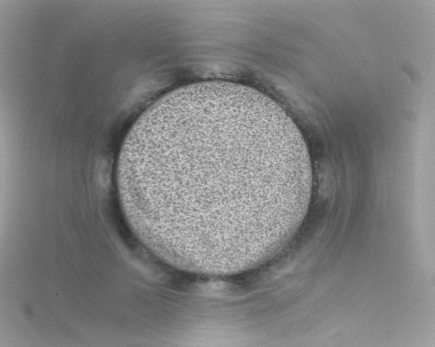 X0000115060695200911231215