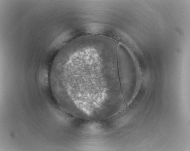 X0000115060696200911231215