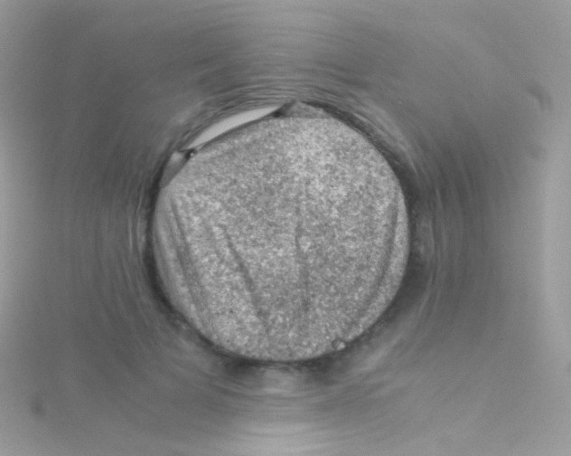 X0000115060697200911231215