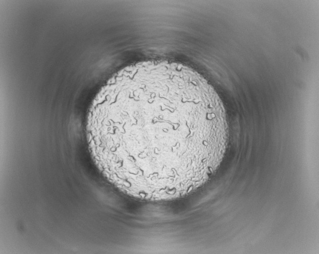 X0000115060699200911231215