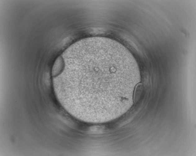 X0000115060700200911231215