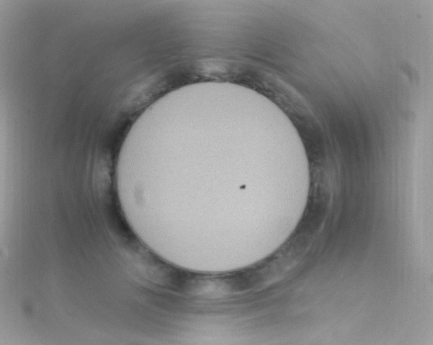 X0000115060702200911231215