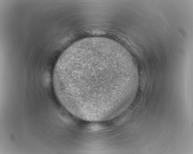 X0000115060704200911231215