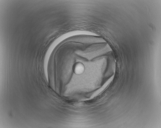 X0000115060705200911231215