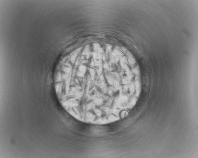 X0000115060707200911231215