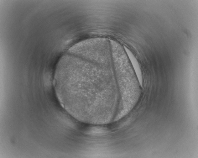 X0000115060708200911231215